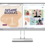 Lenovo L22e-40 Full HD Monitor