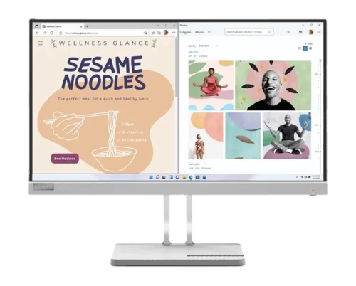 Lenovo L22e-40 Full HD Monitor